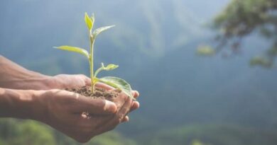 Environmental Education: Nurturing Sustainable Perspectives in Students